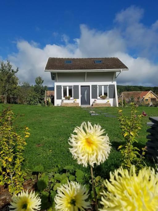 Gite Le Charmot, Au Pied Des Montagnes Classe 3* Roderen Extérieur photo