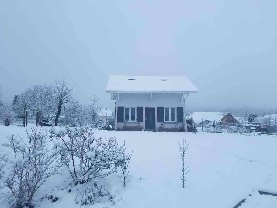 Gite Le Charmot, Au Pied Des Montagnes Classe 3* Roderen Extérieur photo